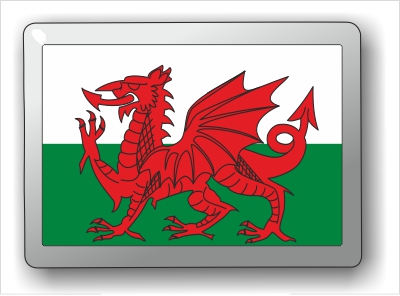 Welsh Flag fridge magnet